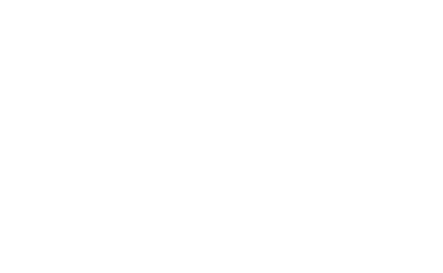 Alma Concept
